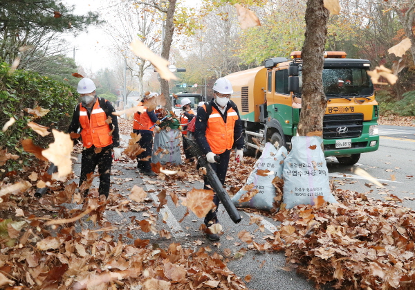 주민과 함께 취약지역에 대한 대대적인 청결활동 전개 모습