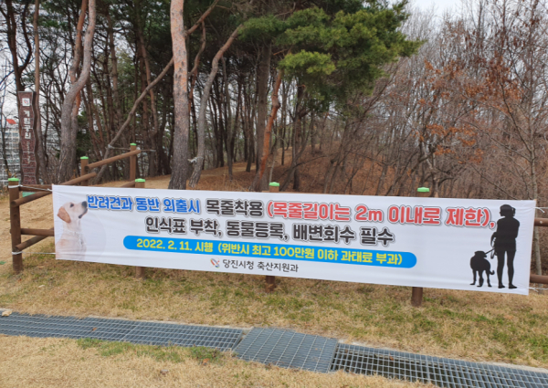 반려동물 에티켓 홍보 사진