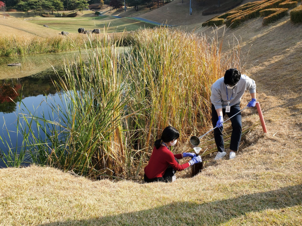 농약 잔류량 검사