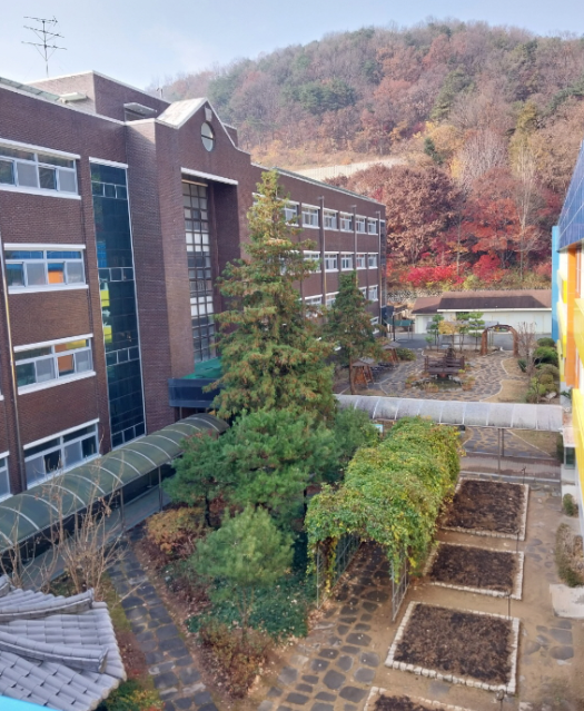 학교숲 선정 - 공주교대부설초