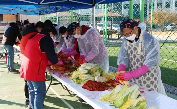 텃밭에서 학생들이 수확한 배추로 김장 담궈 이웃과 나눔 행사 모습