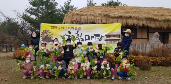합덕수리민속박물관 농사 체험마당 중 수확 체험 사진