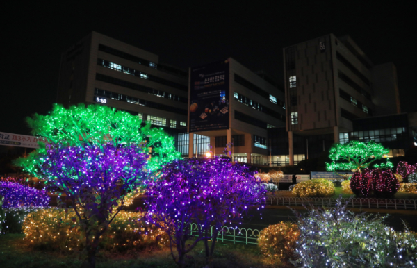 한남대 교내 성탄트리 점등 모습