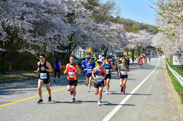 제9회 서산 관광사진 공모전 금상 서산마라톤(류지헌 작)