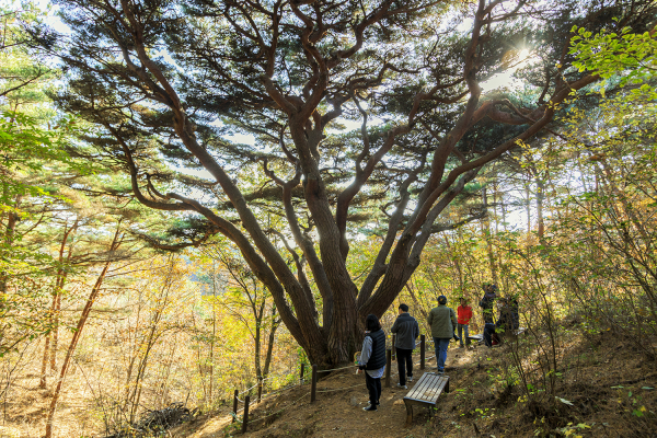 팸투어 사진(웅도 반송)