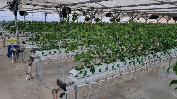 스마트 테스트베드 교육장