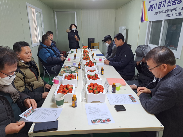 신품종 딸기 개발 중간평가회 개최 모습