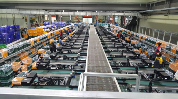 예산농산물유통센터 선별시설