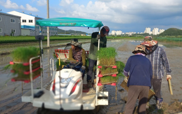 기본형 공익직불금 관련 자료