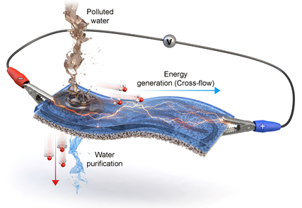 KIST-명지대 공동연구진이 개발한 전력발생 물정화 멤브레인 작동원리 모식도