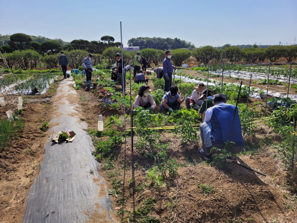 도시농업전문가 양성과정 운영사진