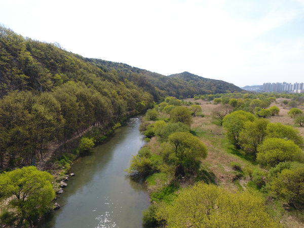 대전 서구 월평공원 갑천변 전경 사진
