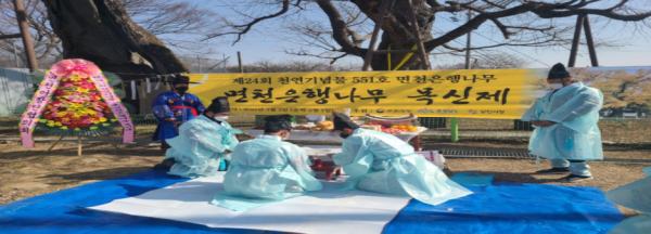 지난 2022년 당진시 면천 은행나무 목신제 모습