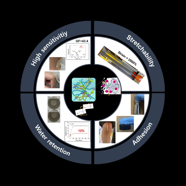 고감도, 다기능성 생체 친화형 하이드로겔 스트레인 센서