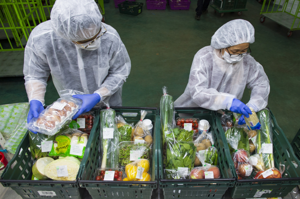 홍성군에서 생산된 유기농 채소 꾸러미