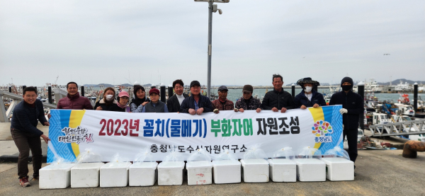 충남도, 꼼치자어 방류