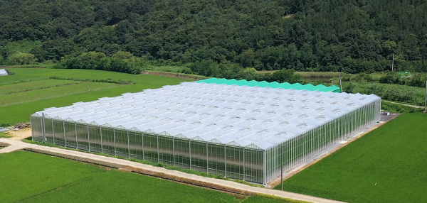 청라면 스마트팜 농가(그린몬스터즈)