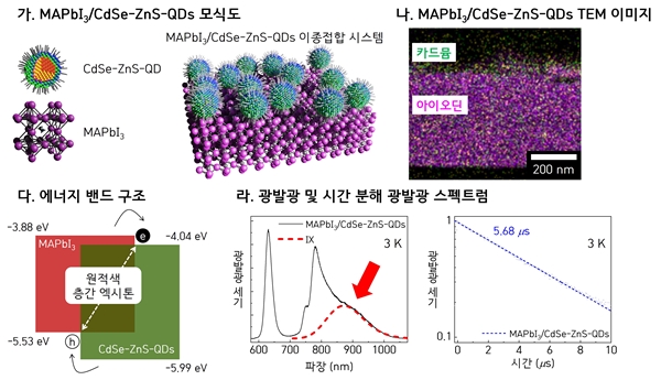MAPbI3/CdSe-ZnS-QDs 모식도, TEM 이미지, 에너지 밴드 구조, 광발광(PL) 및 시간 분해 PL 스펙트럼