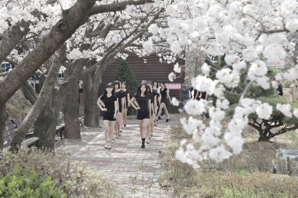 대덕대 교정에서 모델과 학생들이 야외워킹수업인  『벚꽃 워킹』 행사 진행 모습