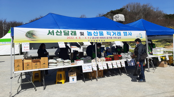 지난해 운산면 여미리 수선화 축제장에서 열린 서산달래 판매촉진 직거래 행사 모습