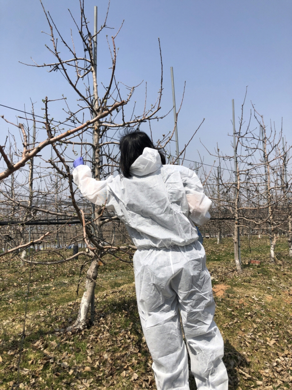 화상병 합동예찰