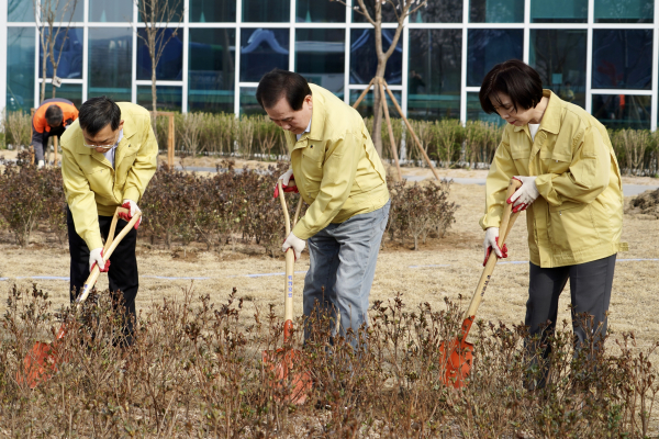 진로융합교육원 앞에서 나무를 심고 있는 주요 간부들(가운데 김지철 교육감. 좌 전진석 부교육감. 우 현경숙 충남교육청진로융합교육원장)