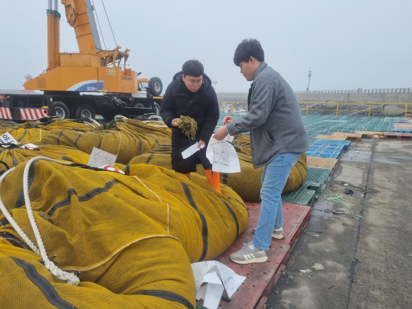 수산물 생산 전 단계 검사 김 시료 수거 모습