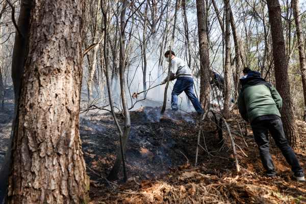 지난 대호지면 산불 잔불정리 모습