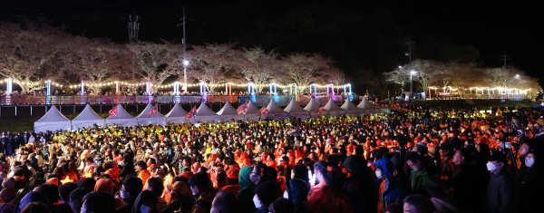 벚꽃축제 현장 모습