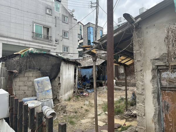 대전시내에 방치된 빈집(사진=대전시 제공)