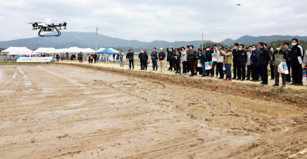 청소면 직파재배단지에서 벼 직파재배 연시회 개최