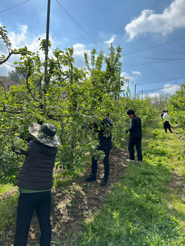 충남건설본부 일손돕기