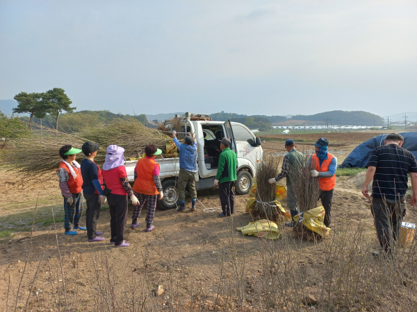 충남도 산림자원연구소, 무궁화 보급 모습
