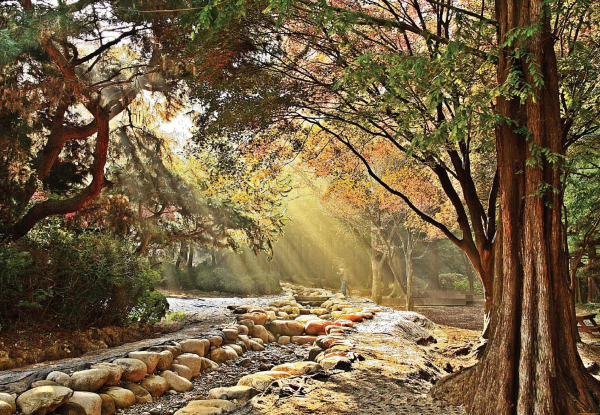 청양터미널갤러리 이용철 강현자 특별초대전 개최-이용철 작품