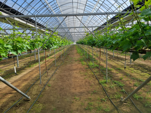 블랙사파이어 시설 전경