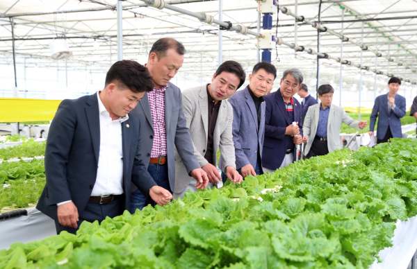 농수산해양위원회 현장방문(부여 수경재배 스마트팜 현장)