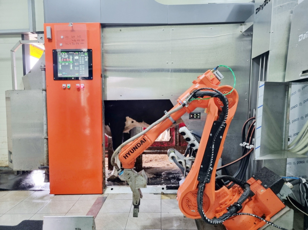 한국형 로봇착유기를 시범 도입하고 운산면 한 농가에서 사용하는 모습