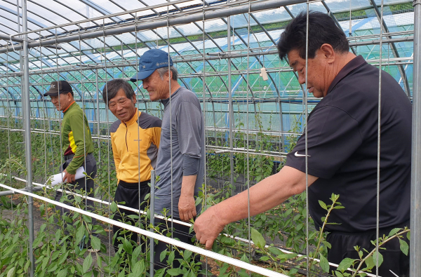 청양구기자연구회장의 농장에서 역량 강화교육 진행