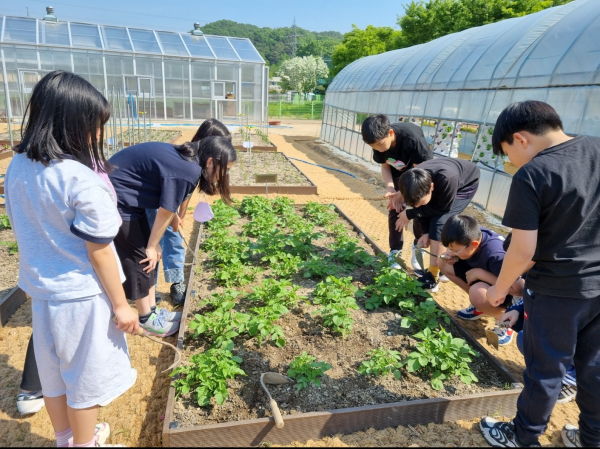 22일에 동부 생태전환교육 '푸른세상 라온누리 만들기' 운영 위한 실무추진단 회의 개최