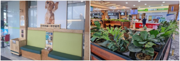 ‘반려동물 동반쉼터’, 매장 그린테리어(green + interior) 구성