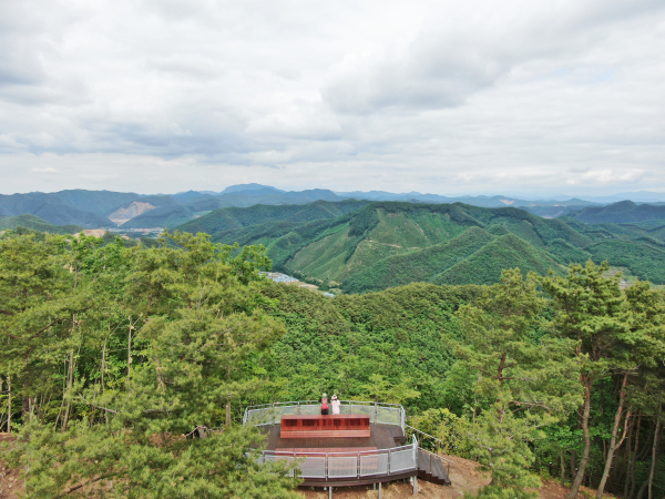 장안-진산성지 숲길 전경 사진