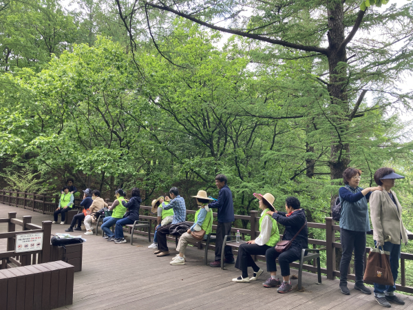 지난 5월 초 경북 영주시 봉현면 국립산림치유원 마실치유데크로드에서 노인건강증진(항노화) 프로그램 참가자들이 숲 산책을 하고 있다.