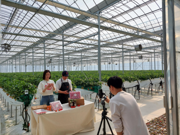 라이브커머스 교육 1기 모습