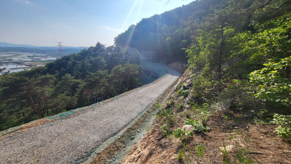 음암 도당 산7번지 일원 임도신설 사업지 현장 모습