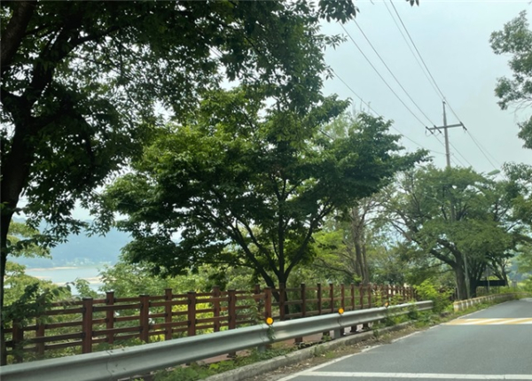 마산동 마을회관 일원 누리길 모습