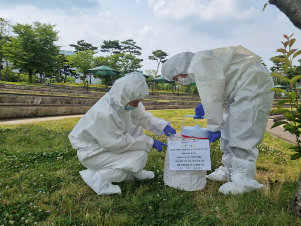 진드기 분포도조사를 위한 진드기 트랩 설치 및 채집 모습