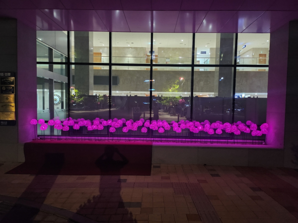 예산군청사에 설치된 LED 수국