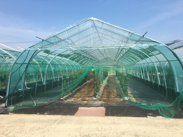 비가림시설 관리