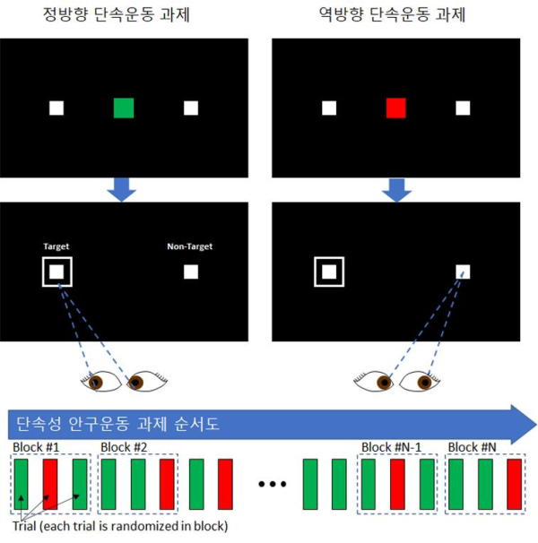 단속성 안구움직임 인지과제 구성도