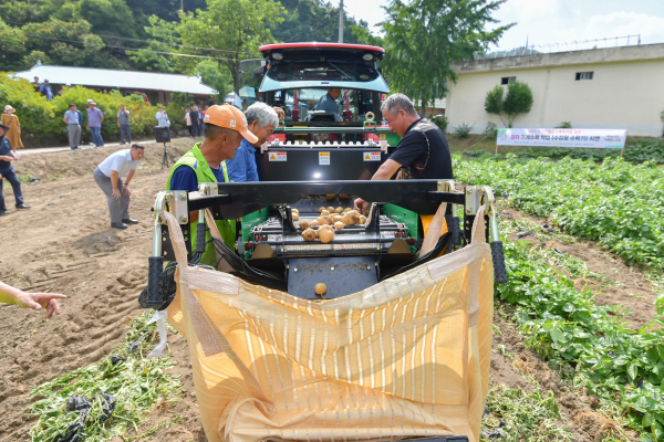 감자 수집형 수확기 연시회 개최 모습